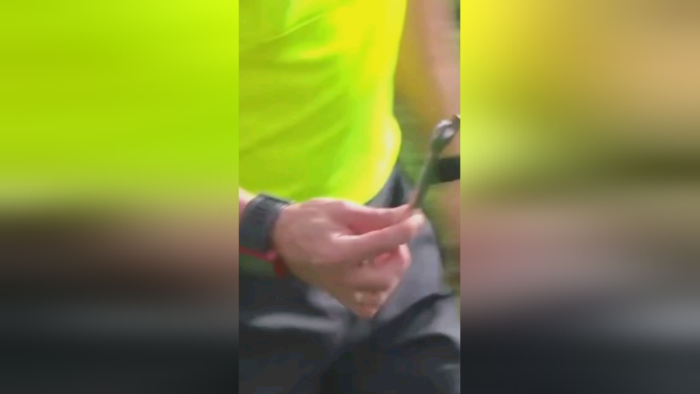 也成为全球